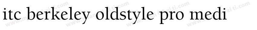 itc berkeley oldstyle pro medium字体转换